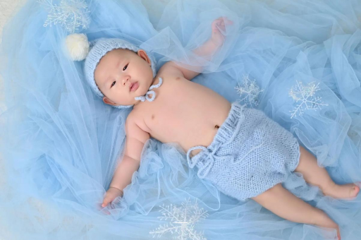 定西宝宝树怎么样